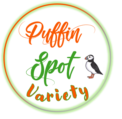 Puffin Spot Countercultural Variety Store