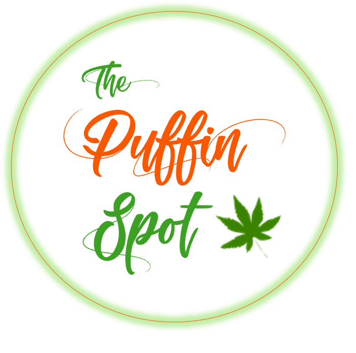 Puffin Spot logo